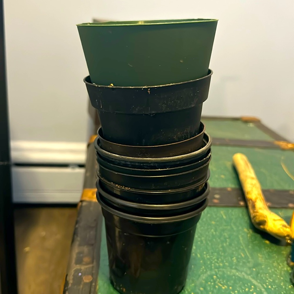Starter pots. 8